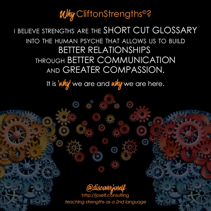 CliftonStrengths, Communication, Philosophy
