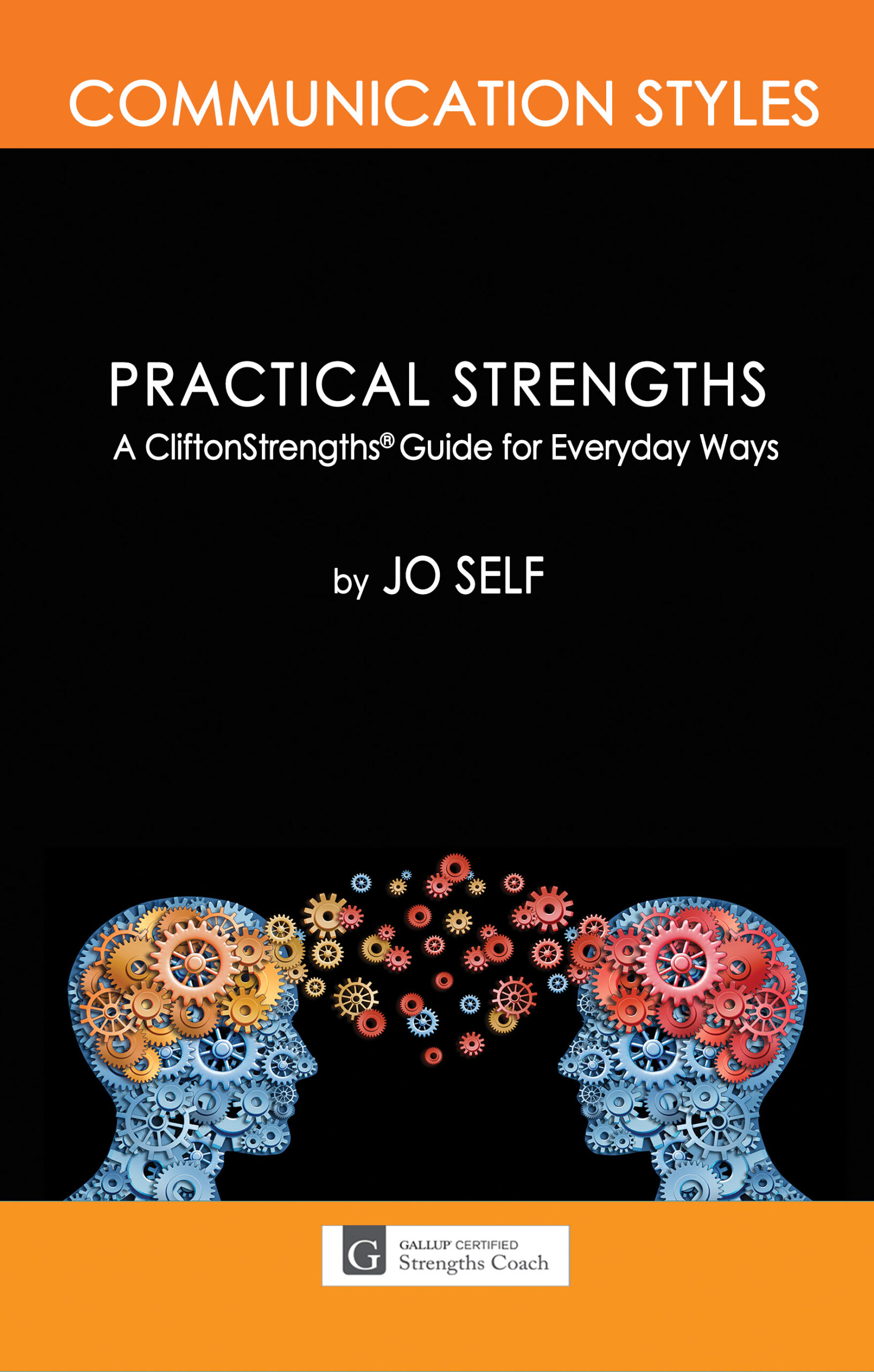 Practical Strengths Career Success Book